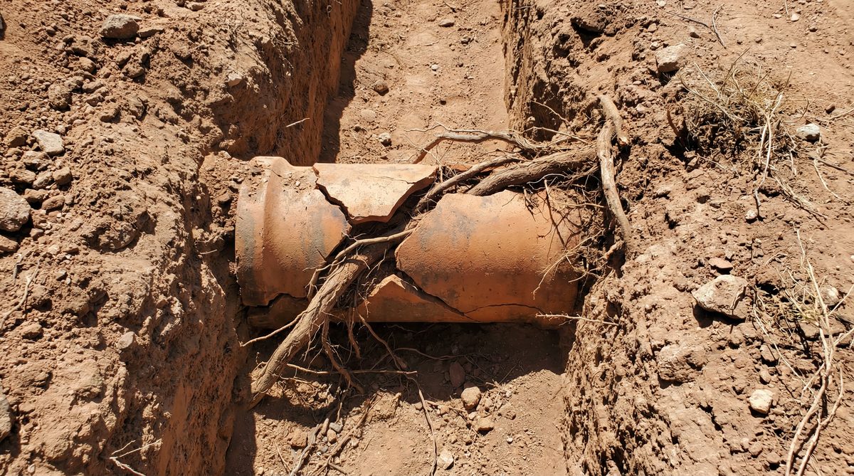 Old clay sewer pipe with tree root intrusion exposed in Mesa Arizona residential yard