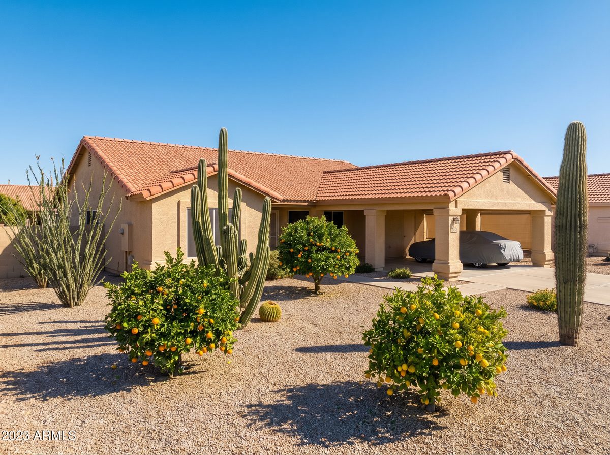 Single-story ranch retirement home in Sun City Arizona with desert landscaping and carport